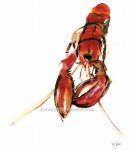 Lobster #1